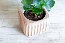 Load image into Gallery viewer, CORINTO