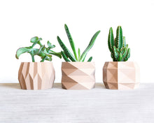 Upload image into Gallery viewer, BARCELONA