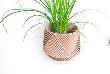 Load image into Gallery viewer, LIMA