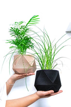 Load image into Gallery viewer, LIMA