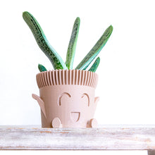 Upload image into Gallery viewer, Set of 3 - Mr. POT