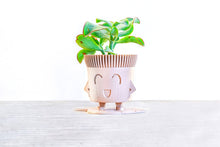 Upload image into Gallery viewer, Set of 3 - Mr. POT