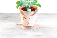 Upload image into Gallery viewer, Set of 3 - Mr. POT