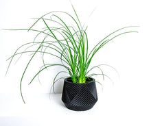 Load image into Gallery viewer, LIMA BLACK