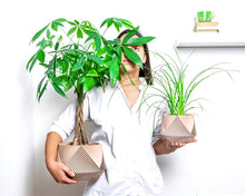 Load image into Gallery viewer, LIMA LARGE