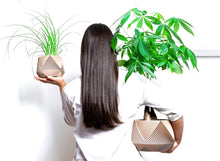 Load image into Gallery viewer, LIMA LARGE