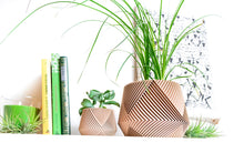 Load image into Gallery viewer, LIMA