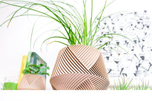 Load image into Gallery viewer, LIMA