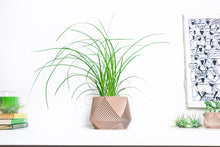 Load image into Gallery viewer, LIMA