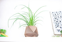 Load image into Gallery viewer, LIMA LARGE