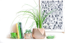 Load image into Gallery viewer, LIMA