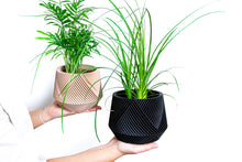 Load image into Gallery viewer, LIMA BLACK