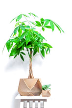 Load image into Gallery viewer, LIMA LARGE