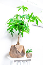 Load image into Gallery viewer, LIMA LARGE