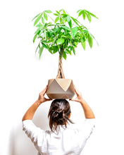 Load image into Gallery viewer, LIMA LARGE