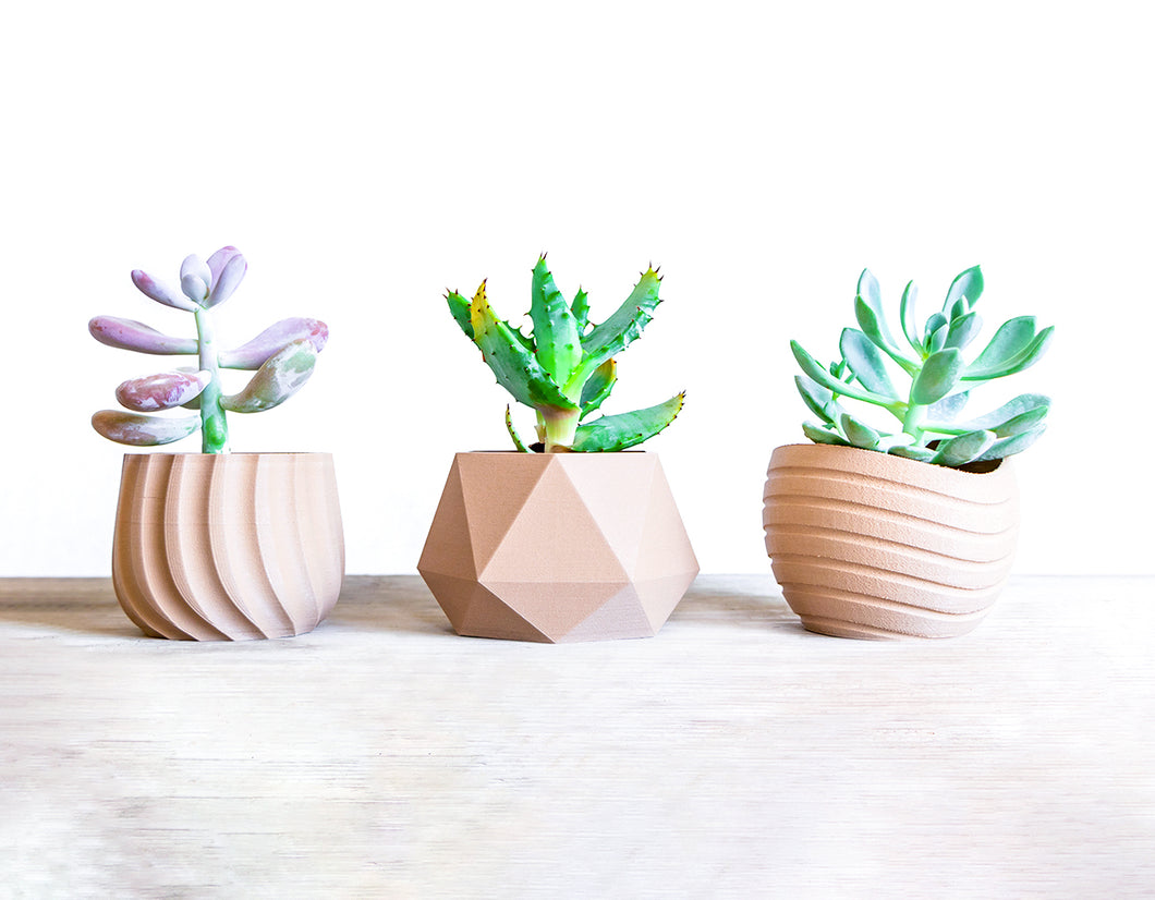 Set da 3 - VAILA MOSCA MAUI