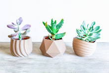 Carica l&#39;immagine nel visualizzatore di Gallery, Set da 3 - VAILA MOSCA MAUI
