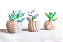 Carica l&#39;immagine nel visualizzatore di Gallery, Set da 3 - VAILA MOSCA MAUI
