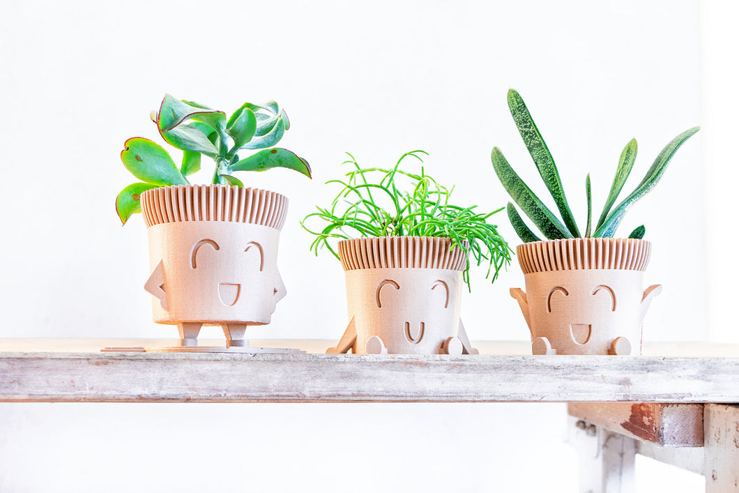 Set of 3 - Mr. POT